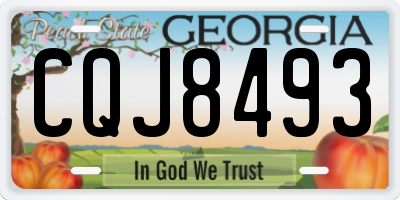 GA license plate CQJ8493