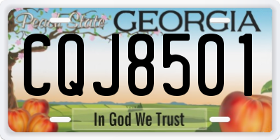 GA license plate CQJ8501