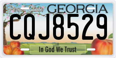 GA license plate CQJ8529