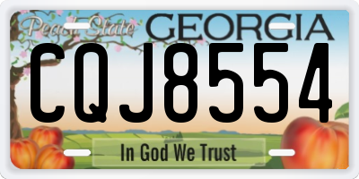 GA license plate CQJ8554