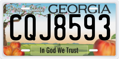 GA license plate CQJ8593