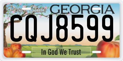 GA license plate CQJ8599