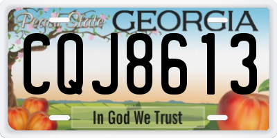 GA license plate CQJ8613