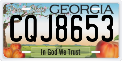 GA license plate CQJ8653