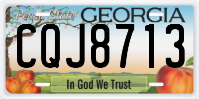 GA license plate CQJ8713