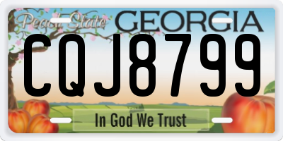 GA license plate CQJ8799
