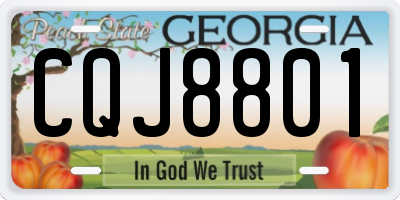 GA license plate CQJ8801