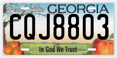 GA license plate CQJ8803
