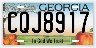 GA license plate CQJ8917
