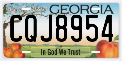 GA license plate CQJ8954