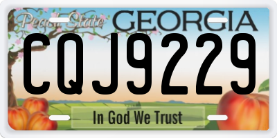 GA license plate CQJ9229