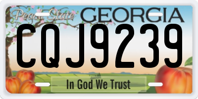 GA license plate CQJ9239