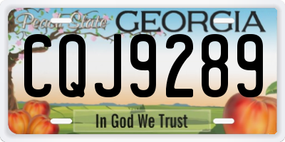 GA license plate CQJ9289