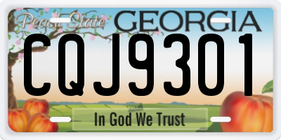 GA license plate CQJ9301
