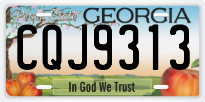 GA license plate CQJ9313