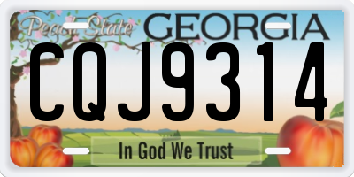 GA license plate CQJ9314