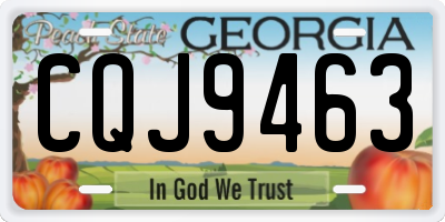 GA license plate CQJ9463