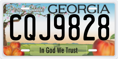 GA license plate CQJ9828
