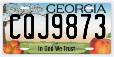 GA license plate CQJ9873