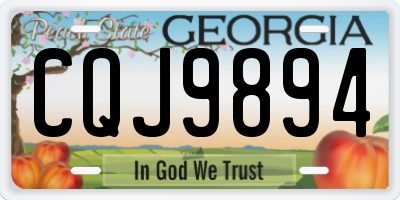 GA license plate CQJ9894