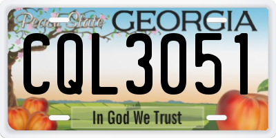 GA license plate CQL3051
