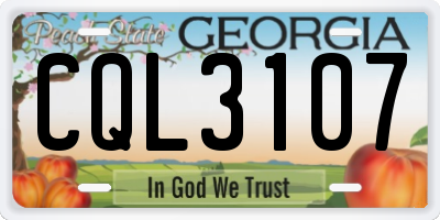 GA license plate CQL3107