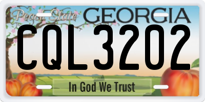 GA license plate CQL3202