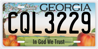 GA license plate CQL3229