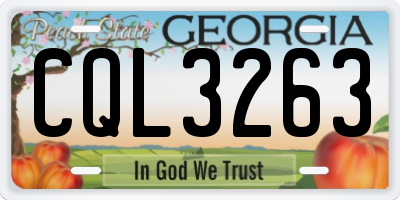 GA license plate CQL3263