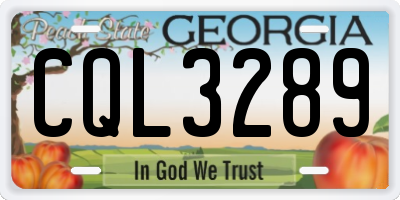 GA license plate CQL3289