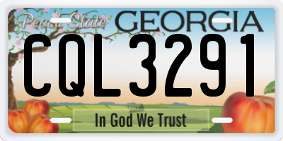 GA license plate CQL3291