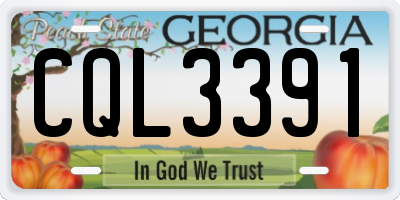 GA license plate CQL3391