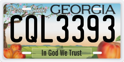 GA license plate CQL3393