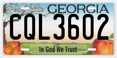 GA license plate CQL3602