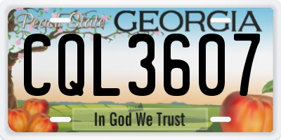 GA license plate CQL3607