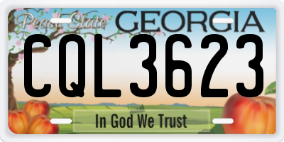 GA license plate CQL3623
