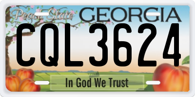 GA license plate CQL3624