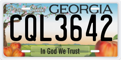 GA license plate CQL3642