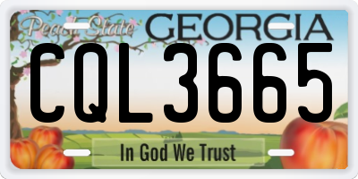 GA license plate CQL3665