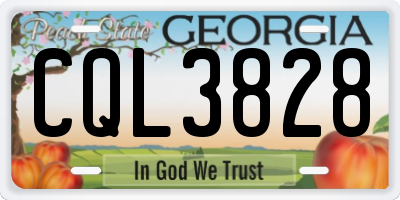 GA license plate CQL3828
