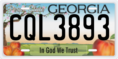 GA license plate CQL3893