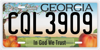 GA license plate CQL3909