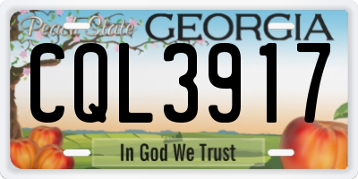 GA license plate CQL3917