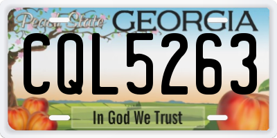 GA license plate CQL5263