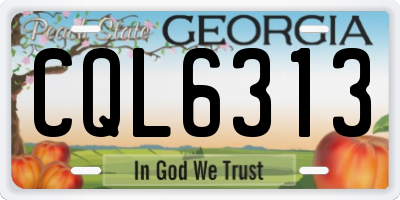 GA license plate CQL6313