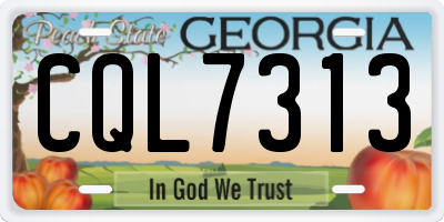 GA license plate CQL7313