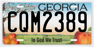 GA license plate CQM2389