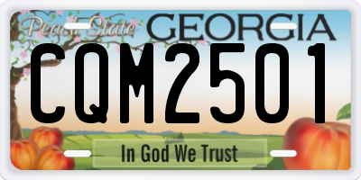 GA license plate CQM2501