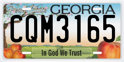 GA license plate CQM3165