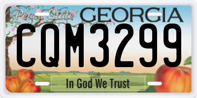 GA license plate CQM3299